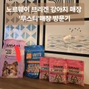 베르겐샵 | [노르웨이 여행] 노르웨이 강아지들은 뭘 먹을까? 베르겐 펫샵 무스티 탐방기