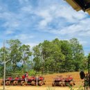 정원시장 | 코타키나발루 여행 후기 / 액티비티 , 쿤다상 시장 , 라플레시아 정원 , 데사목장