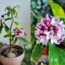 책향기어린이공원 이미지