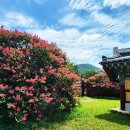 신숭겸장군유적지 이미지