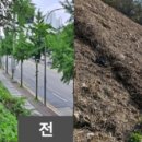 서천동 이미지