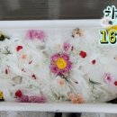 하늘품상조