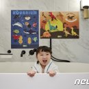 마이플레이그라운드 뉴스1