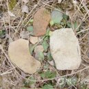 토성경로당 이미지