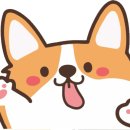 홀리퍼피