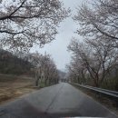 벚꽃마을경로당 이미지