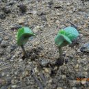 장수촌경로당 이미지