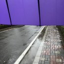 써니즉석떡볶이 이미지