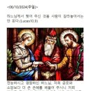 금목서(만리향) 이미지