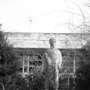 대서서초등학교 이미지