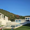 퍼스펫 애견펜션 | 경주프라이빗 독채 수영장있는 퍼스펫 애견펜션