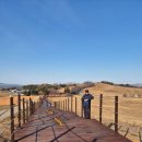 부부한우목장 이미지