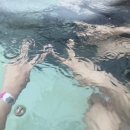 석이식당 이미지