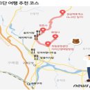 2022년 7월 31일 동그라미 일정표(안) 이미지