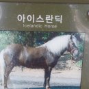 오리여행 이미지