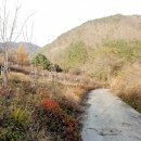 안기천로 이미지