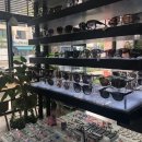 태극안경콘택트(죽동점) 이미지