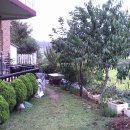 장진천길 이미지