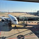 아시아나항공 스페인 바르셀로나 직항 OZ511 비즈니스 기내식 후기(암환자 패스트트랙 이용후기)