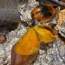 요트앤밸리 이미지