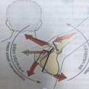 M트레이닝 이미지