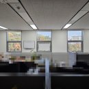 정부대구지방합동청사 | 관공서단열필름 대구본부세관 건물썬팅 업체 비교 후 세남자건물썬팅을 찾아주셨어요