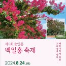 숭인동 이미지