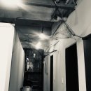 헤어마시멜로 이미지