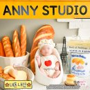 애니베어 | 50일 촬영 애니스튜디오 광진점 내돈내산 후기