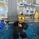 (주)성남종합건설 | 성남 종합운동장 수영장 : 더 딥스(버킷리스트 클래스) 수영 특강 후기