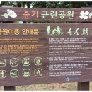 남동문화근린공원2 이미지