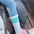 용인씨씨승마클럽 이미지