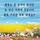 문경수예리오토캠핑장 이미지