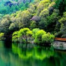 좌구산 휴양림 관리사무소 이미지