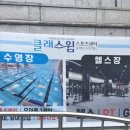 GoGoSing | 리뷰일기 | 클래스윔 동래점 성인수영강습 한달 솔직후기♡(장단점)