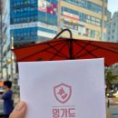 멍편한세상 | 🐕 강아지 용품 솔직후기[피키노리 유모차 가드 쿠션 세트, 멍가드 진드기 퇴치 석고 세트]