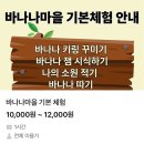 바나나어린이집 | 천안아산 아기와 바나나 따기 체험이 가능한 바나나마을 이용 후기