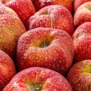 김영석 농장 이미지