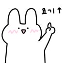 Apieceaday(어피스어데이) 이미지