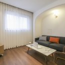 송강애견 이미지