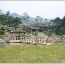 숲속나라 이미지