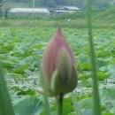 운대2리 이미지