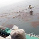 신안센터-20 이미지