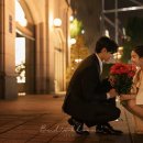 팀버드 이미지