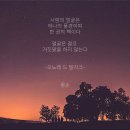 힐링선