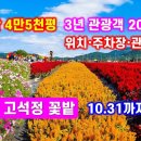 고석정꽃축제10말까지 이미지