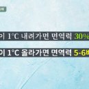 올리고365 이미지