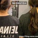 피티스토리 이미지