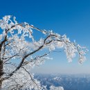 2024.01.24( 수 )가리왕산 .눈꽃/ 상고대 화암동굴 (사진) 이미지