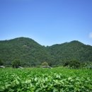 물돌이민박 이미지